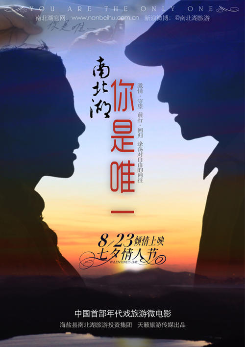 个税不动产证证书号码写哪个